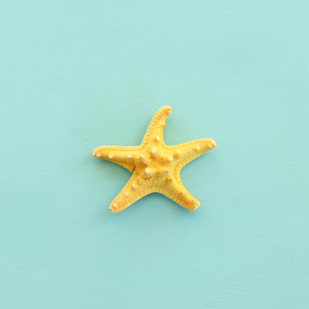 nautical concept starfish over mint blue wooden backgroundの写真素材