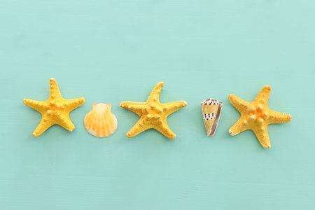 nautical concept seashells and starfish over mint blue wooden background