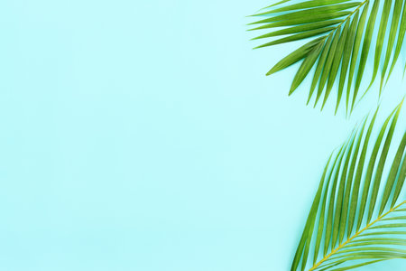 Image of tropical green palm over blue pastel backgroundの写真素材