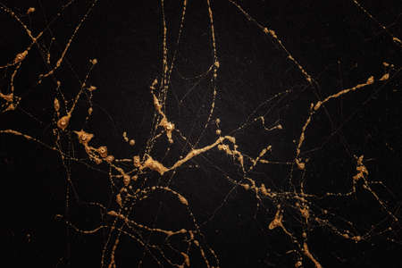 Gold and black marble art pattern. Textured abstract background.