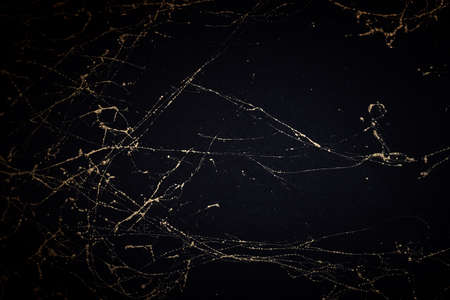 Gold and black marble art pattern. Textured abstract background.の写真素材