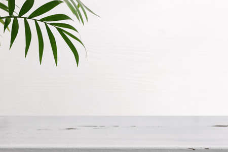 wooden table in front of interior wall and tropical green plant background. for product display and...