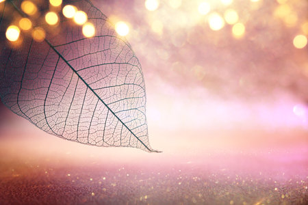 Transparent skeleton leaves over bright abstract backgroundの写真素材