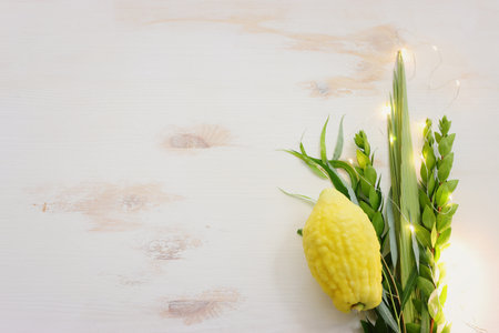 Jewish festival of Sukkot. Traditional symbols (The four species): Etrog (citron), lulav (palm...
