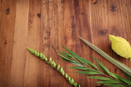 Jewish festival of Sukkot. Traditional symbols (The four species): Etrog (citron), lulav (palm...