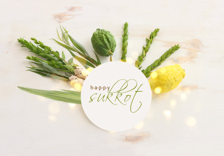 Jewish festival of Sukkot. Traditional symbols (The four species): Etrog (citron), lulav (palm branch), hadas (myrtle), arava (willow)の写真素材