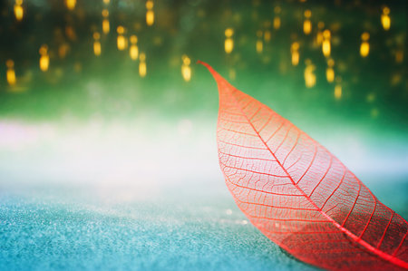 Transparent skeleton leaves over bright abstract backgroundの写真素材