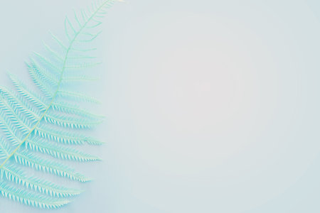 Top view image of pastel dry fiddlehead ferns over blue background .Flat lay