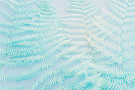 Top view image of pastel dry fiddlehead ferns over blue background .Flat layの写真素材