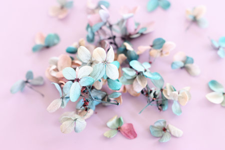 Top view image of colorful Hydrangea flowers over purple pastel background .Flat layの写真素材