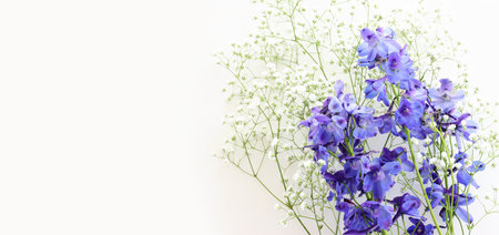 Top view image of violet delphinium flowers composition over white isolated backgroundの写真素材