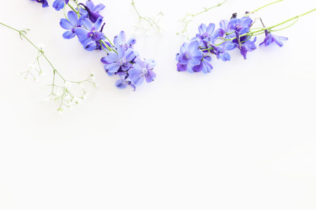 Top view image of violet delphinium flowers composition over white isolated backgroundの写真素材