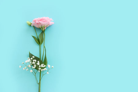 Top view image of delicate lisianthus flowers over pastel blue backgroundの写真素材