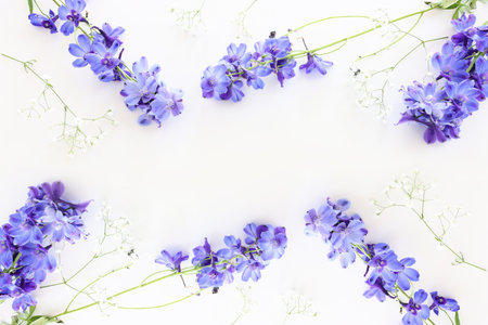 Top view image of violet delphinium flowers composition over white isolated backgroundの写真素材
