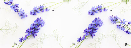 Top view image of violet delphinium flowers composition over white isolated backgroundの写真素材