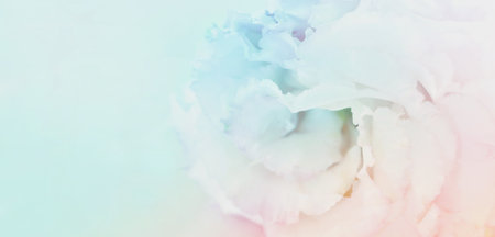 Top view image of delicate flower over pastel backgroundの写真素材