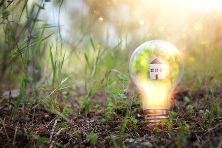 Concept image of a light bulb and small house in nature. Idea of ecology, solar energy, and sustainabilityの写真素材