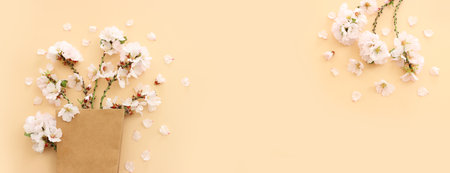 image of spring white cherry blossoms tree over yellow pastel backgroundの写真素材