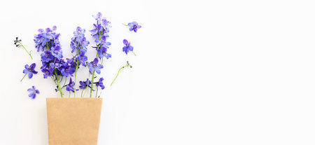 Top view image of violet delphinium flowers composition over white isolated backgroundの写真素材