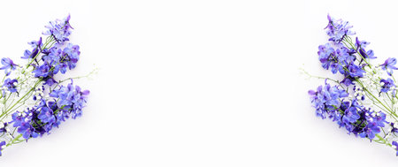 Top view image of violet delphinium flowers composition over white isolated backgroundの写真素材