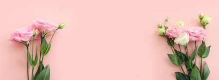 Top view image of delicate pink flowers over pastel backgroundの写真素材