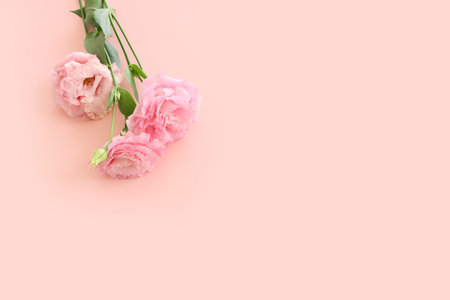 Top view image of delicate pink flowers over pastel backgroundの写真素材
