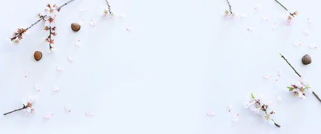 image of spring almond blossoms tree over isolated white background