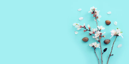 image of spring white almond blossoms tree over blue pastel backgroundの写真素材