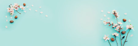 image of spring white almond blossoms tree over blue pastel backgroundの写真素材