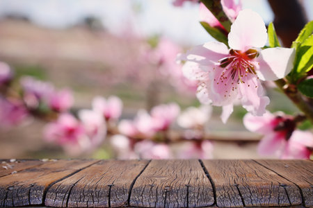 wooden table in front of spring blossom tree landscape. Product display and presentationの写真素材