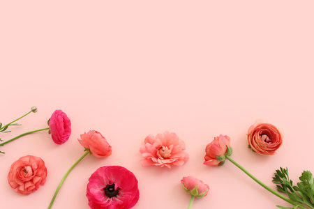 Top view image of pink flowers composition over pastel backgroundの写真素材