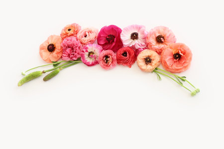 Top view image of pink flowers composition over white isolated backgroundの写真素材