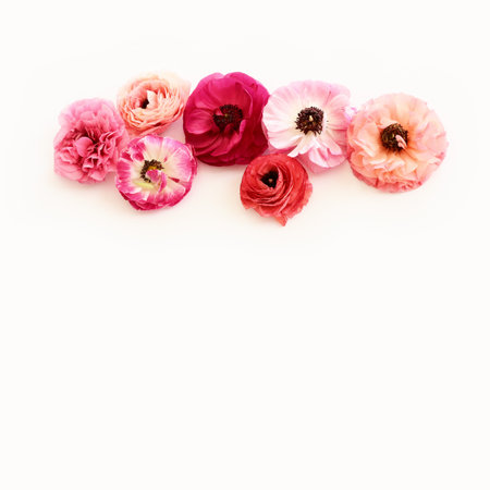 Top view image of pink flowers composition over white isolated backgroundの写真素材
