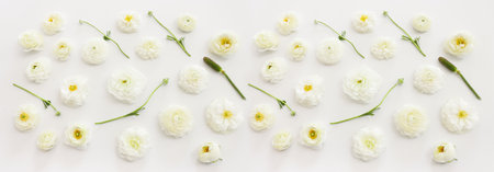Top view image of white flowers compositionの写真素材