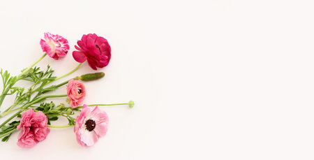Top view image of pink flowers composition over white isolated background