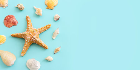 nautical concept with starfish and seashells over blue backgroundの写真素材