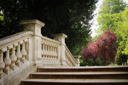 Ancient stairs in a park with treesの写真素材