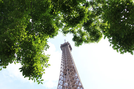 Image of Paris Eiffel Tower. Franceの写真素材