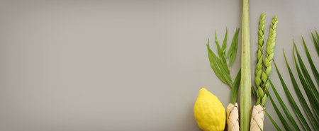 Jewish festival of Sukkot. Traditional symbols (The four species): Etrog (citron), lulav (palm branch), hadas (myrtle), arava (willow)の写真素材