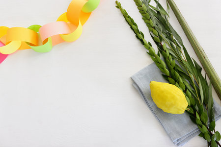 Jewish festival of Sukkot. Traditional symbols (The four species): Etrog (citron), lulav (palm branch), hadas (myrtle), arava (willow)の素材 [FY310214741840]