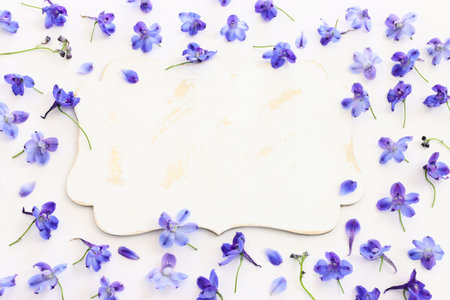 Top view image of violet delphinium flowers composition over white isolated backgroundの写真素材