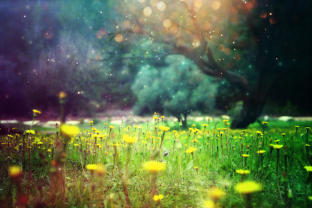 Close up image of flowers blooming in meadow