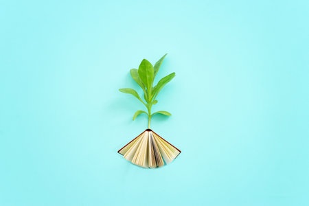Top view image of small plant and book concept. idea of education, creativity, and growth