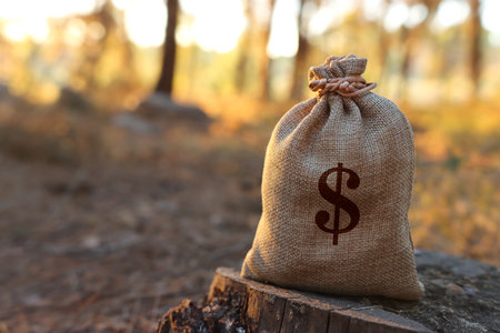 A bag of money with a dollar sign. An idea of wise investment and financial profitの写真素材