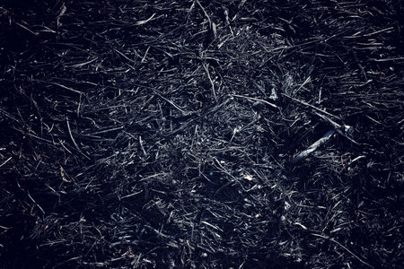 Top view image of black scorched groundの写真素材