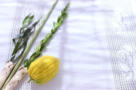 Jewish festival of Sukkot. Traditional symbols (The four species): Etrog (citron), lulav (palm...