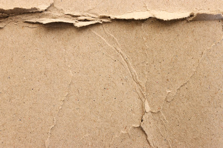 cardboard sheet textured background with crumples and torn, brown colorの写真素材