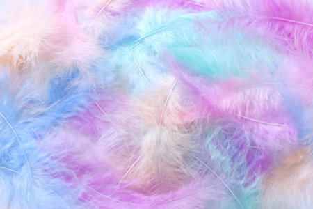 Background of fluffy feathers. Pastel colorsの写真素材