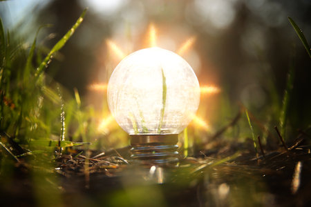 energy and business concept image. Creative idea innovation. light bulb metaphor in natureの写真素材