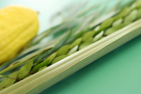 Jewish festival of Sukkot. Traditional symbols (The four species): Etrog (citron), lulav (palm...